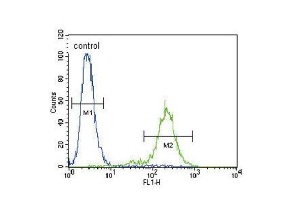 SLCO4C1 antibody  (C-Term)