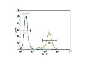 Flow cytometric analysis of NCI-H460 cells (right histogram) compared to a negative control cell (left histogram). (SLCO4C1 antibody  (C-Term))