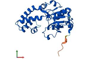 AlphaFold protein structure predicition of Mouse Recombinant Pudp Protein, UniprotID Q9D5U5 (HDHD1 Protein (AA 1-234) (His tag))