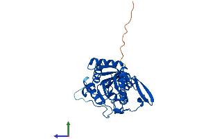 Protein Structure (PS) image for Uridine Phosphorylase 1 (UPP1) (AA 1-310) protein (His tag) (ABIN7544970)