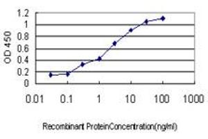 Detection limit for recombinant GST tagged FKSG14 is approximately 0. (CENPK antibody  (AA 1-269))