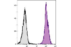 Flow Cytometry (FACS) image for anti-Protein tyrosine Phosphatase, Receptor Type, C (PTPRC) antibody (ABIN135220)