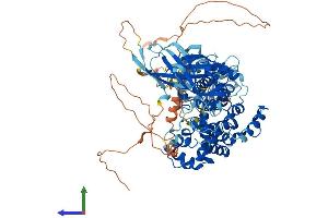 AlphaFold protein structure predicition of Human Recombinant RABGAP1L Protein, UniprotID Q5R372