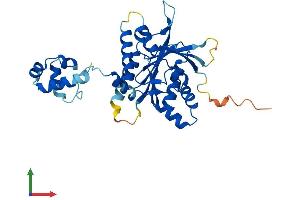 Protein Structure (PS) image for RAD51 Homolog D (RAD51D) (AA 1-328) protein (His tag) (ABIN7555113)