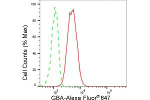 Flow cytometric analysis of GBA expression in C2C12 cells using GBA antibody (ABIN7798735), 1:2,000).