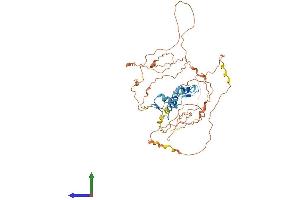 AlphaFold protein structure predicition of Human Recombinant EGR2 Protein, UniprotID P11161 (EGR2 Protein (AA 1-476) (His tag))
