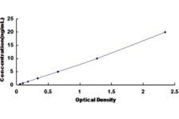 SLC7A1 ELISA Kit