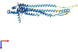 AlphaFold protein structure predicition of Mouse Recombinant Dcstamp Protein, UniprotID Q7TNJ0