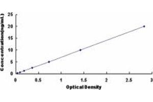 Typical standard curve (CCKAR ELISA Kit)