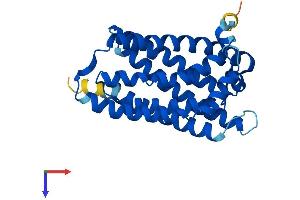 AlphaFold protein structure predicition of Human Recombinant ELOVL6 Protein, UniprotID Q9H5J4 (ELOVL6 Protein (AA 1-265) (His tag))