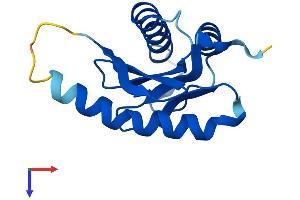 AlphaFold protein structure predicition of Human Recombinant TRAPPC2L Protein, UniprotID Q9UL33 (TRAPPC2L Protein (AA 1-140) (His tag))