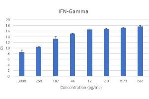 ELISA image for Interferon gamma (IFNG) IQ-ELISA Kit (ABIN5680034)