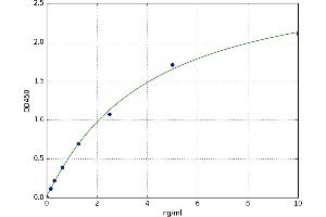 Soluble Endothelial Protein C Receptor (SEPCR) ELISA Kit