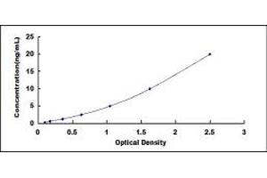 Typical standard curve (PFKM ELISA Kit)