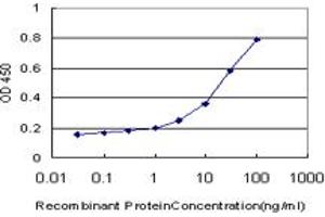 Detection limit for recombinant GST tagged SP7 is approximately 1ng/ml as a capture antibody. (SP7 antibody  (AA 87-162))