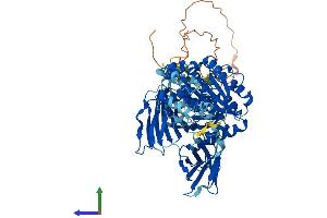 Protein Structure (PS) image for Von Willebrand Factor A Domain Containing 5A (VWA5A) (AA 1-786) protein (His tag) (ABIN7545160)