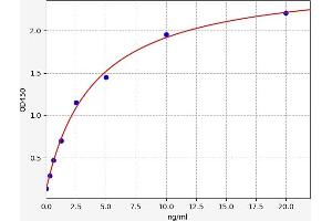 FNDC3B ELISA Kit
