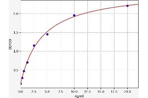 Typical standard curve (FNDC3B ELISA Kit)