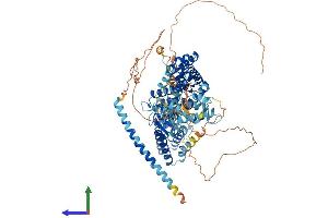 AlphaFold protein structure predicition of Mouse Recombinant Rasgrp1 Protein, UniprotID Q9Z1S3 (RASGRP1 Protein (AA 1-795) (His tag))