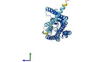 AlphaFold protein structure predicition of Human Recombinant OR10A4 Protein, UniprotID Q9H209 (OR10A4 Protein (AA 1-315) (His tag))