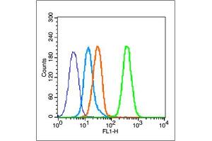 MCF-7 cells probed with Estrogen Receptor alpha Antibody, unconjugated  at 1:100 dilution for 30 minutes compared to control cells (blue) and isotype control (orange) (Estrogen Receptor alpha antibody  (AA 501-600))