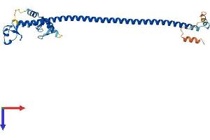 Tripartite Motif-Containing 12A (TRIM12A) (AA 1-284) protein (His tag)