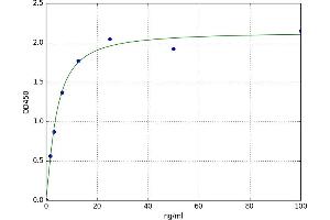 A typical standard curve