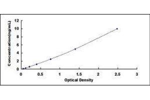 Typical standard curve (HIF1A ELISA Kit)