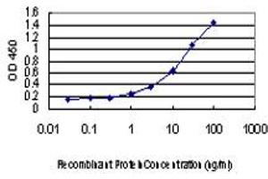 Detection limit for recombinant GST tagged SPG3A is approximately 1ng/ml as a capture antibody. (ATL1 antibody  (AA 1-100))