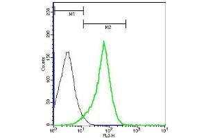 Flow Cytometry (FACS) image for anti-Cadherin 1, Type 1, E-Cadherin (Epithelial) (CDH1) (AA 401-500) antibody (ABIN1387847)