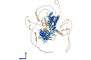 AlphaFold protein structure predicition of Human Recombinant RIN3 Protein, UniprotID Q8TB24