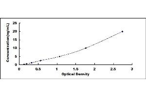 Typical standard curve (SLC30A1 ELISA Kit)