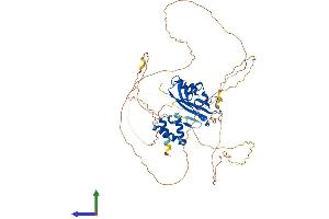 Protein Structure (PS) image for Protein AF-9 (MLLT3) (AA 1-568) protein (His tag) (ABIN7552008)