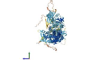 AlphaFold protein structure predicition of Human Recombinant ATP13A2 Protein, UniprotID Q9NQ11 (ATP13A2 Protein (AA 1-1180) (His tag))