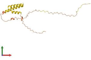 AlphaFold protein structure predicition of Human Recombinant LINC00477 Protein, UniprotID Q96M19 (LINC00477 Protein (AA 1-166) (His tag))