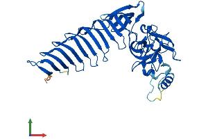 AlphaFold protein structure predicition of Mouse Recombinant Setd7 Protein, UniprotID Q8VHL1