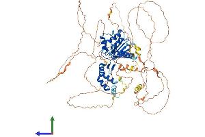 AlphaFold protein structure predicition of Mouse Recombinant Fam83c Protein, UniprotID A2ARK0