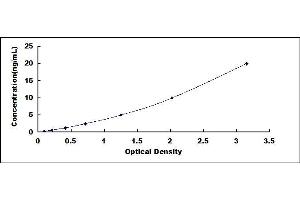 Typical standard curve (CDK8 ELISA Kit)