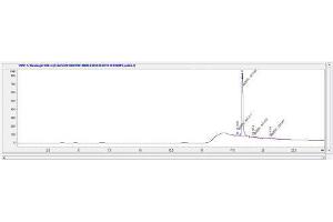 Image no. 1 for Brain Natriuretic Peptide (BNP) peptide (Ovalbumin) (ABIN5666102) (Brain Natriuretic Peptide (BNP) peptide (Ovalbumin))