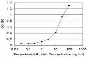 Detection limit for recombinant GST tagged OCLN is approximately 1ng/ml as a capture antibody.