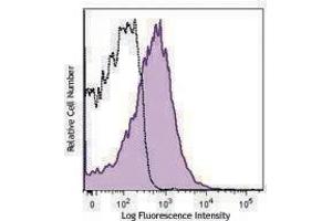 Flow Cytometry (FACS) image for anti-CD81 (CD81) antibody (APC) (ABIN2658278) (CD81 antibody  (APC))