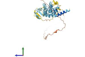 AlphaFold protein structure predicition of Human Recombinant PSMD8 Protein, UniprotID P48556
