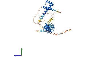 AlphaFold protein structure predicition of Mouse Recombinant Isl2 Protein, UniprotID Q9CXV0 (ISL2 Protein (AA 1-359) (His tag))