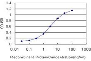 Detection limit for recombinant GST tagged CREB3 is approximately 0. (CREB3 antibody  (AA 273-371))
