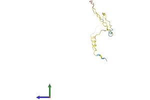 AlphaFold protein structure predicition of Mouse Recombinant Ppdpf Protein, UniprotID Q9CR37