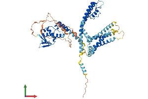 AlphaFold protein structure predicition of Human Recombinant KCNV2 Protein, UniprotID Q8TDN2 (KCNV2 Protein (AA 1-545) (His tag))