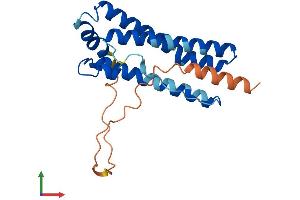 AlphaFold protein structure predicition of Human Recombinant FTH1P19 Protein, UniprotID P0C7X4