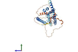 AlphaFold protein structure predicition of Mouse Recombinant Kcnk9 Protein, UniprotID Q3LS21 (KCNK9 Protein (AA 1-402) (His tag))