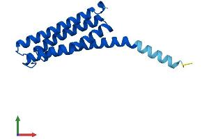 Protein Structure (PS) image for Leukotriene C4 Synthase (LTC4S) (AA 1-150) protein (His tag) (ABIN7557627)
