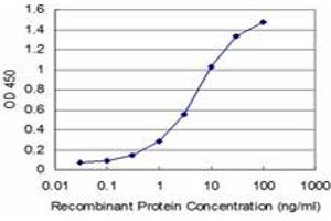 Detection limit for recombinant GST tagged TXN is approximately 0. (TXN antibody  (AA 1-105))